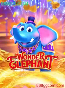 WonderElephant: Descubra o Novo Fenômeno do Entretenimento Online
